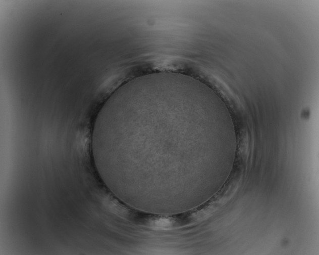 X0000103140513200808291342