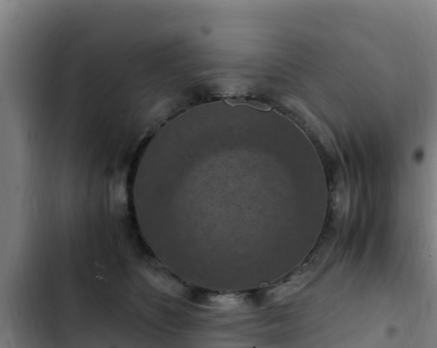 X0000103140516200808291342