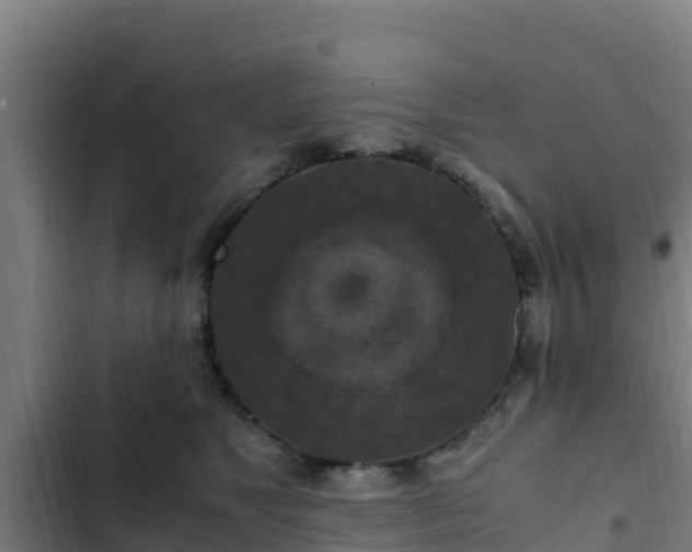 X0000103140517200808291342