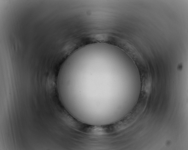 X0000103140518200808291342