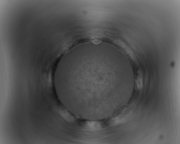 X0000103140520200808291342