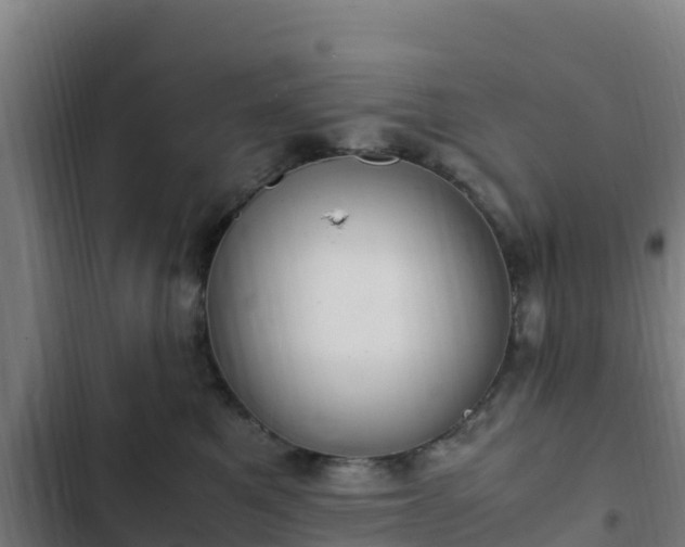 X0000103140521200808291342