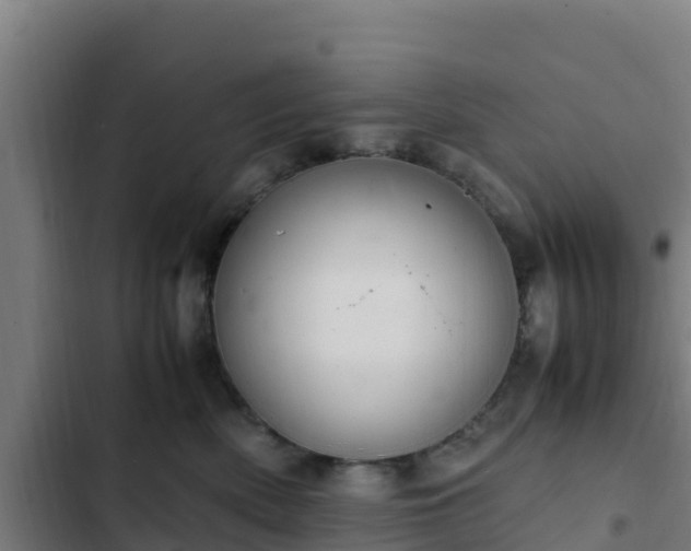 X0000103140522200808291342