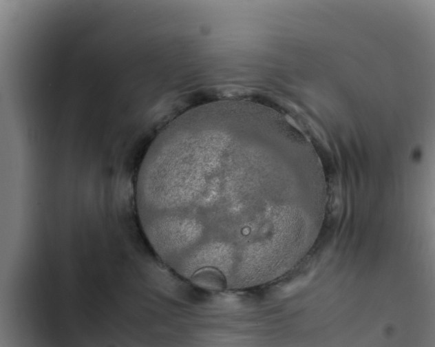 X0000103140523200808291342