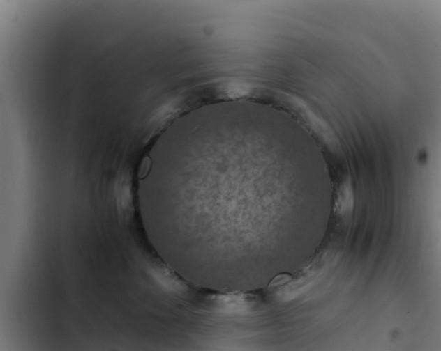 X0000103140524200808291342