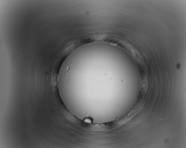 X0000103140525200808291342