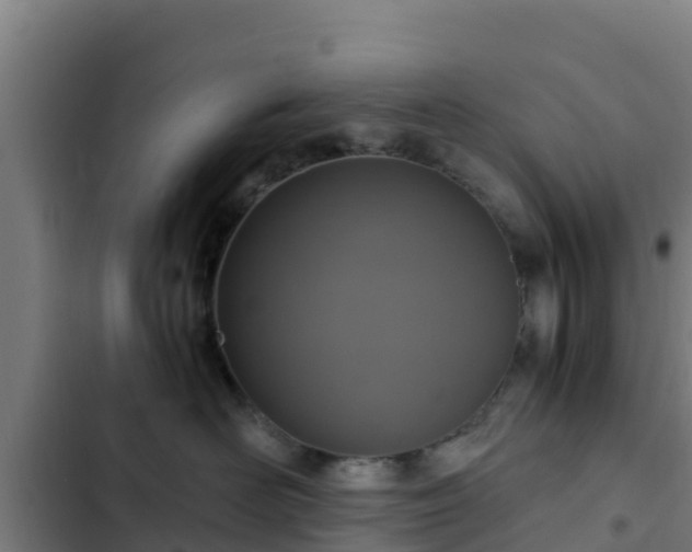 X0000103140526200808291342