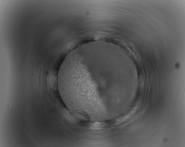 X0000103140527200808291342