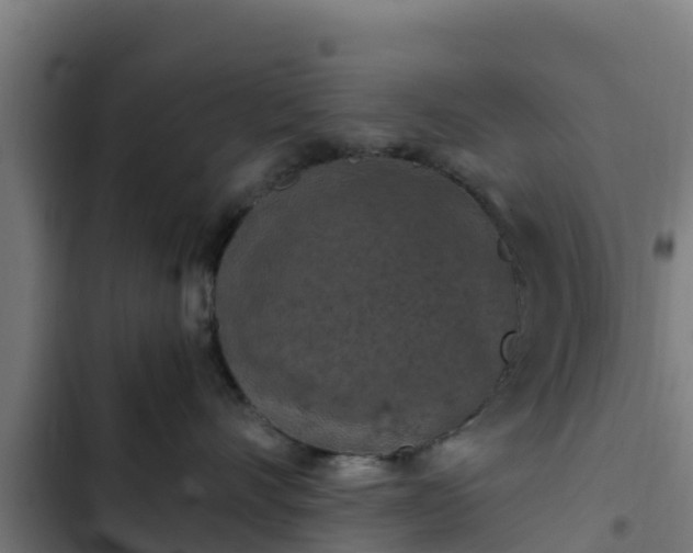 X0000103140528200808291341