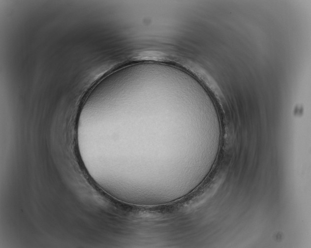 X0000103140529200808291341