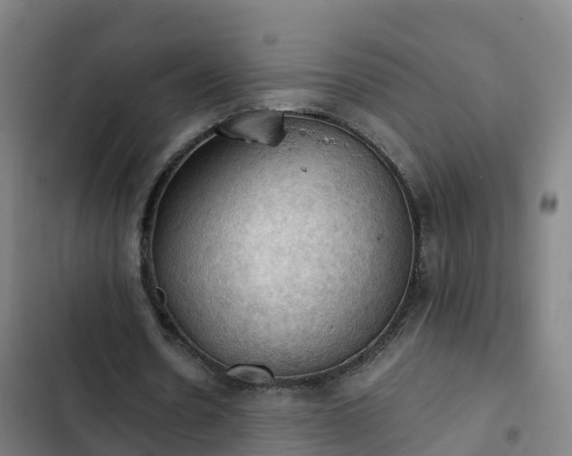 X0000103140530200808291341