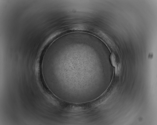 X0000103140531200808291341