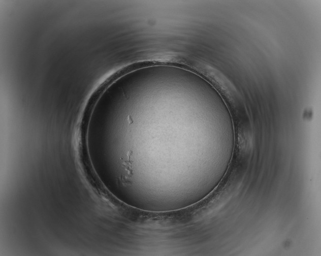 X0000103140532200808291341