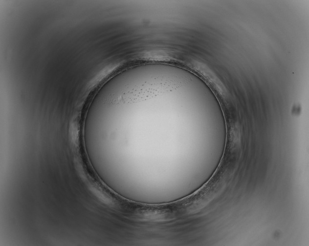 X0000103140533200808291341