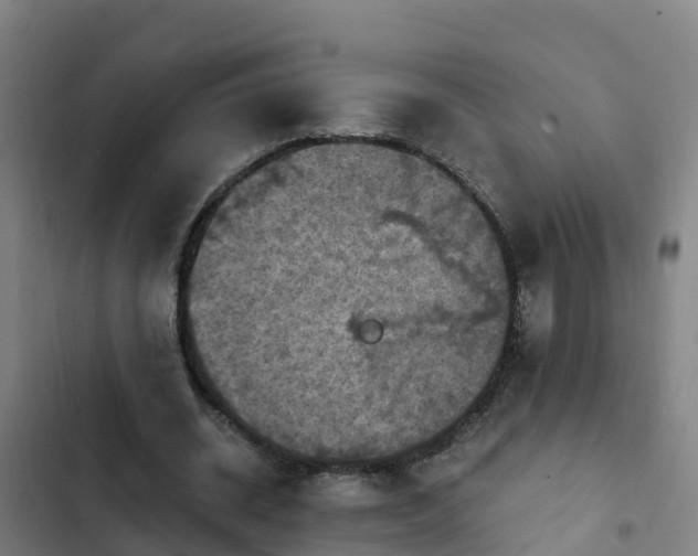 X0000103140534200808291341