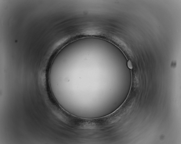 X0000103140535200808291341