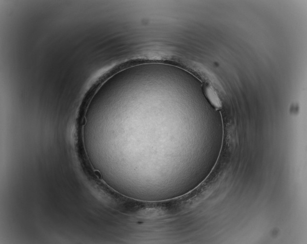 X0000103140536200808291341