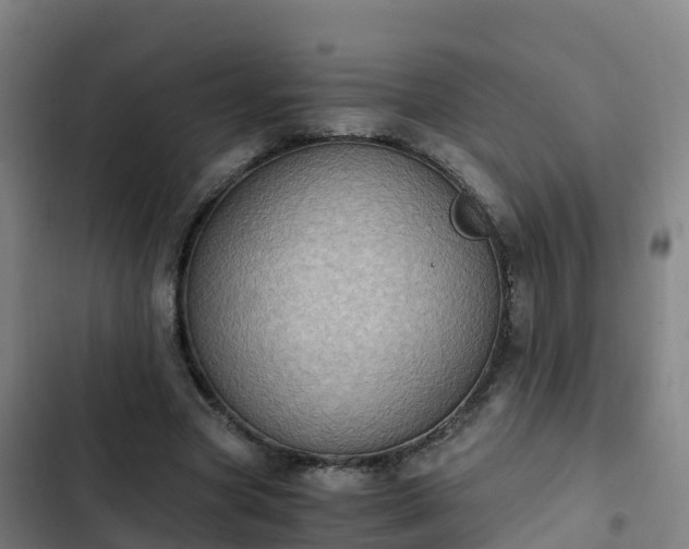 X0000103140537200808291341