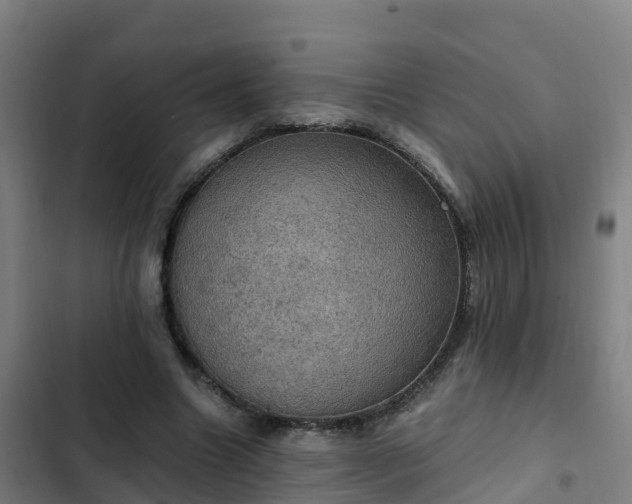 X0000103140538200808291341