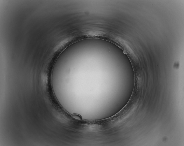 X0000103140539200808291341