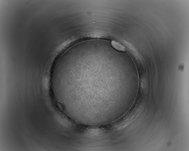 X0000103140540200808291341