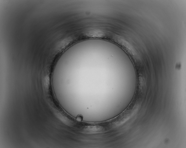 X0000103140541200808291341