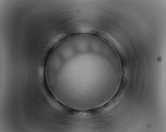 X0000103140542200808291341