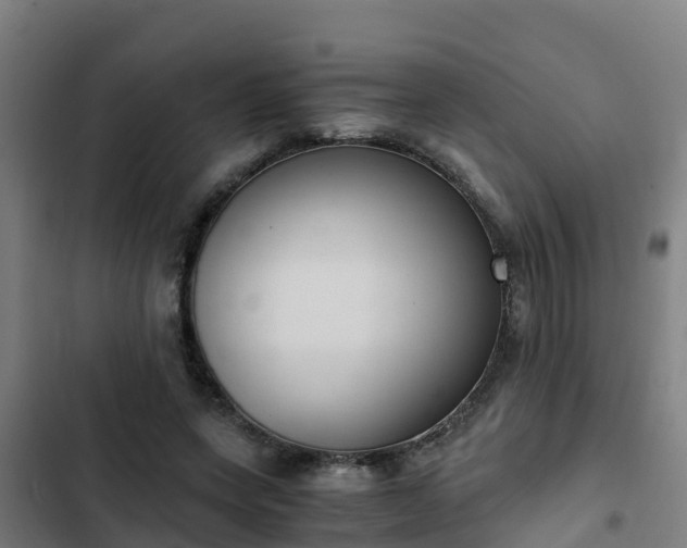 X0000103140543200808291341