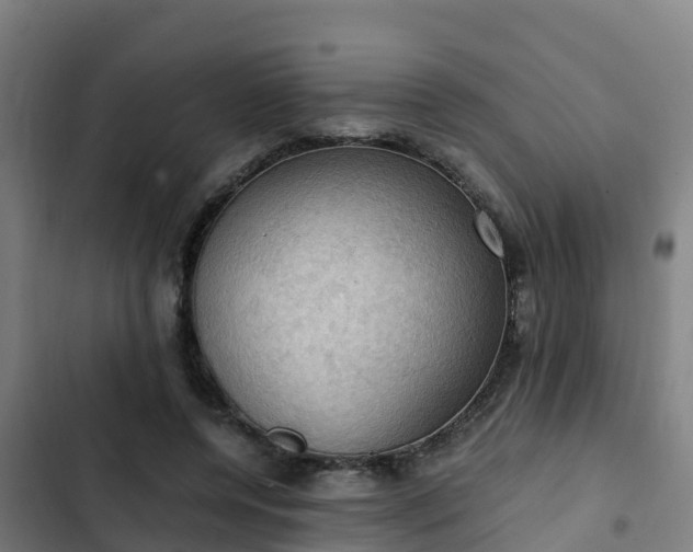 X0000103140544200808291341