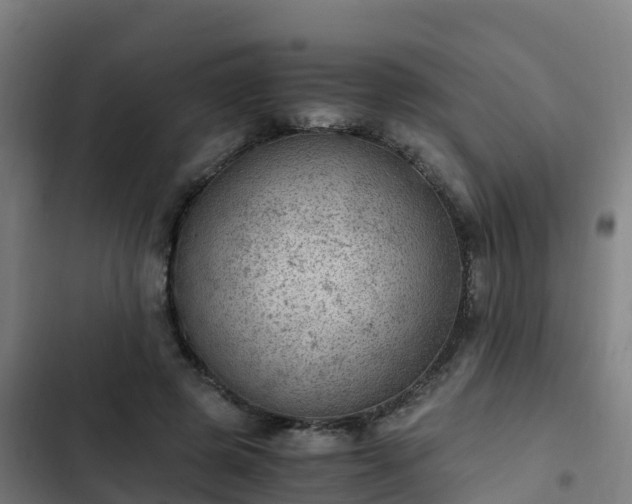 X0000103140545200808291341