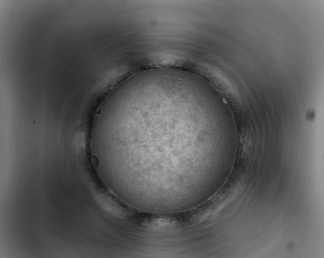 X0000103140546200808291341