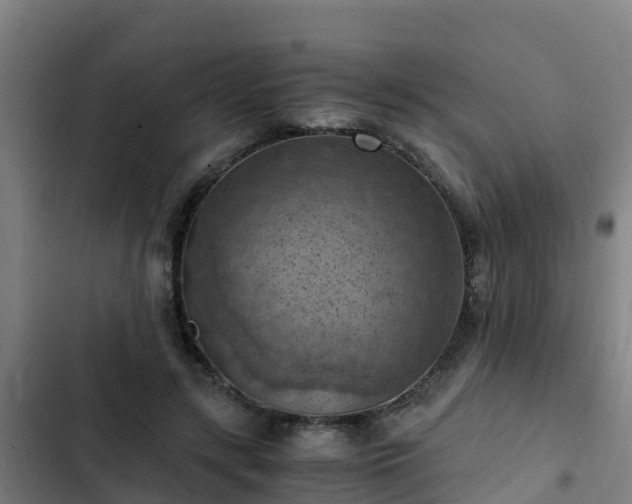 X0000103140547200808291341