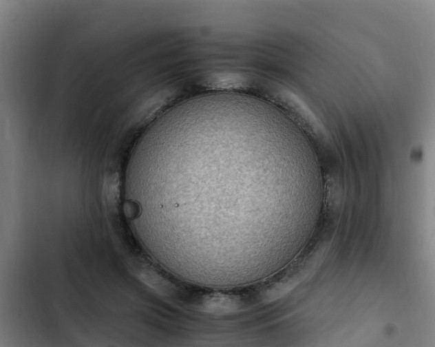 X0000103140549200808291341