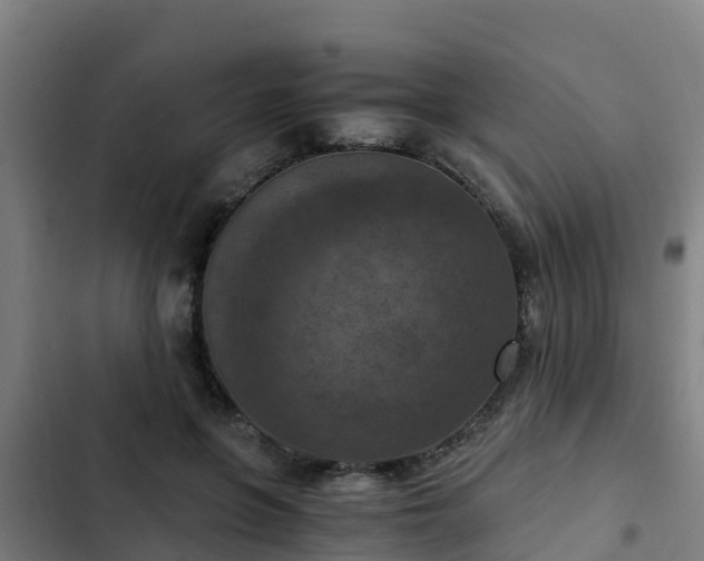 X0000103140551200808291341