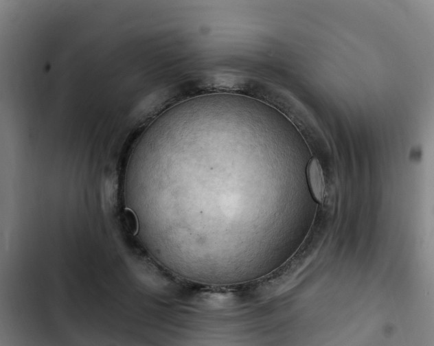 X0000103140552200808291341