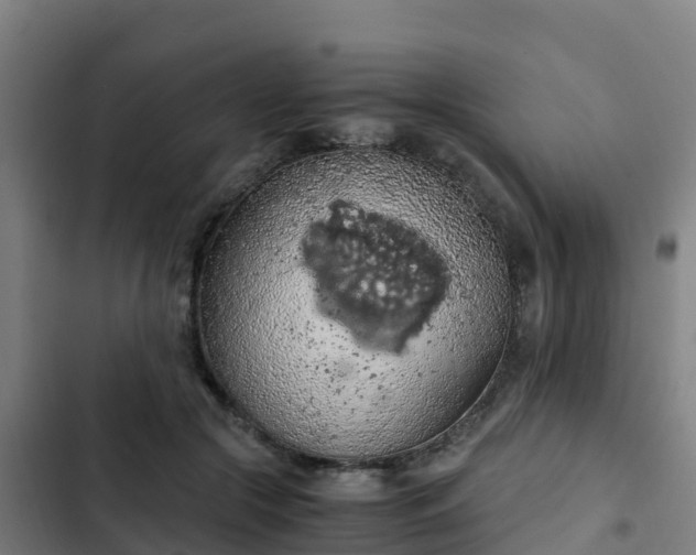 X0000103140553200808291341