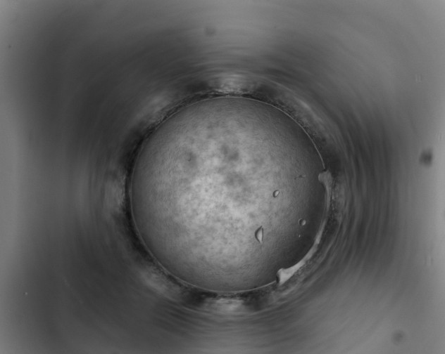 X0000103140554200808291341