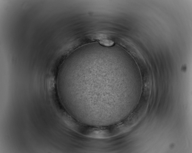 X0000103140555200808291341