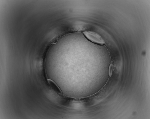 X0000103140556200808291341