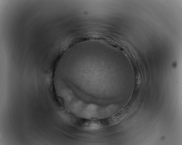 X0000103140559200808291341