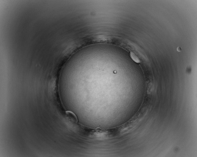 X0000103140560200808291341