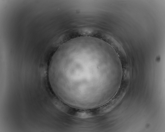 X0000103140561200808291341