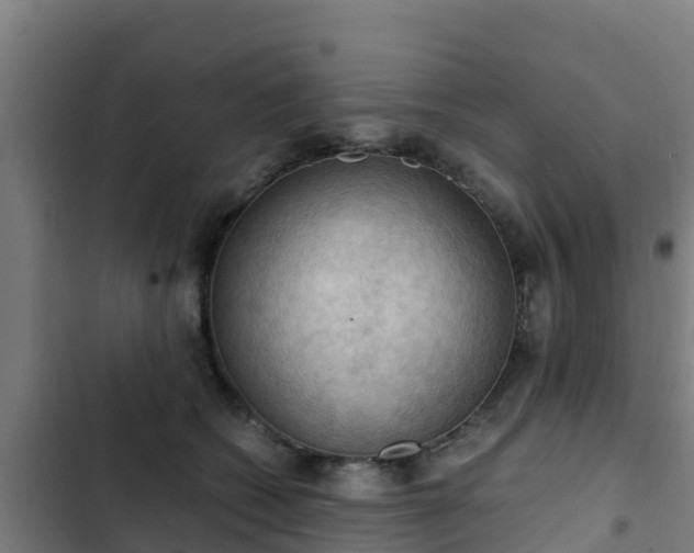 X0000103140562200808291341