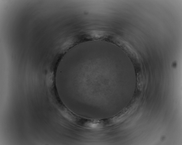 X0000103140563200808291341