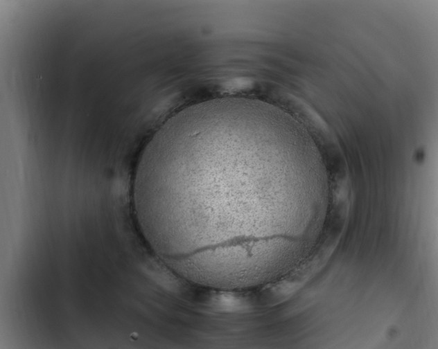 X0000103140565200808291341