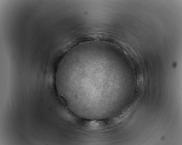 X0000103140566200808291341