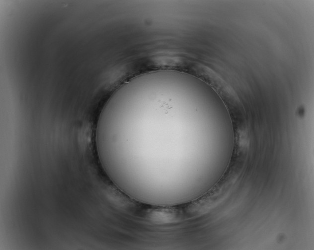 X0000103140567200808291341