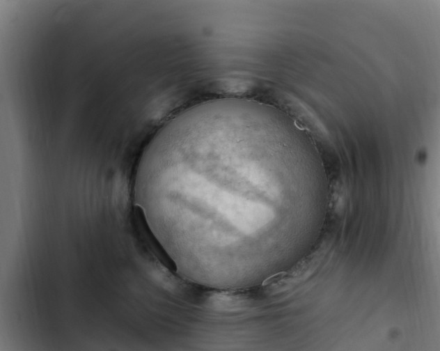 X0000103140568200808291341