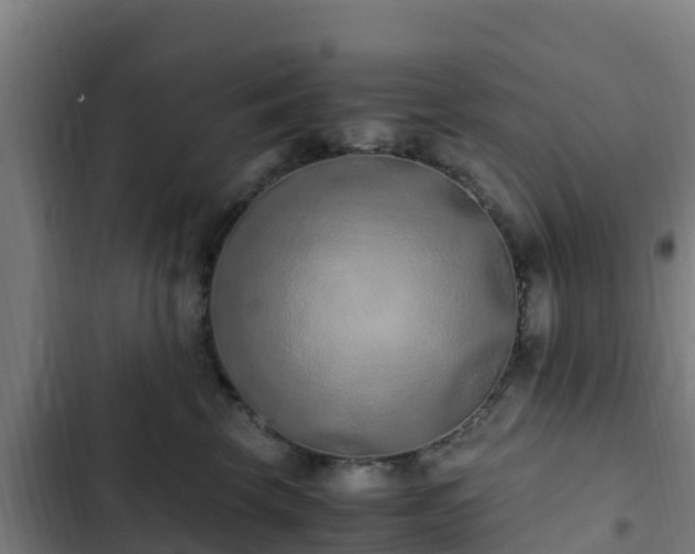 X0000103140569200808291341