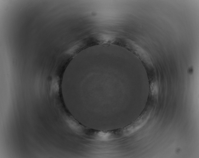 X0000103140570200808291341